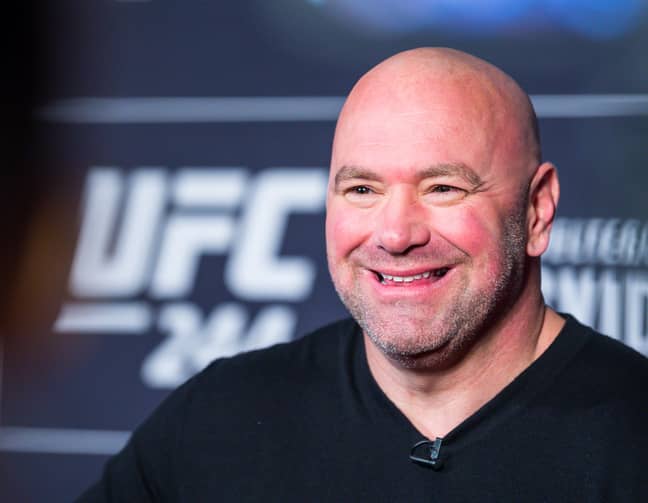 ufc net worth Impressed Camp