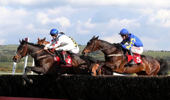 20++ Horse racing results punchestown yesterday best strategy