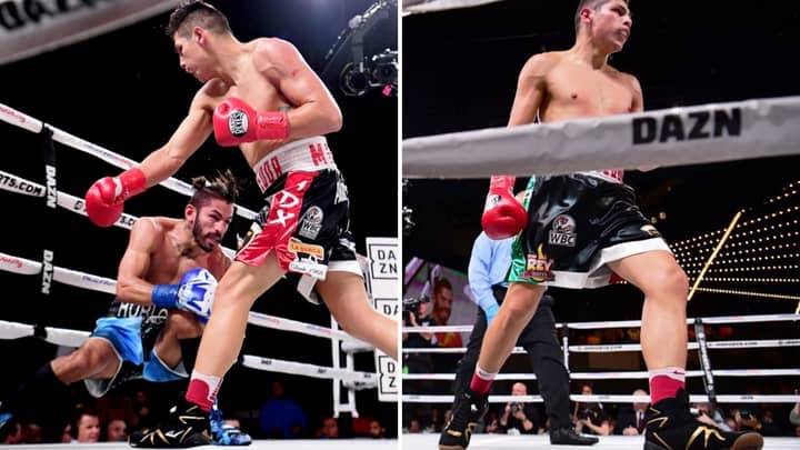 Pablo Cesar Cano Destroys Jorge Linares In The First Round Of The Fight Sportbible